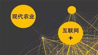 大數(shù)據(jù)與互聯(lián)網(wǎng)信息服務(wù) 鄉(xiāng)村振興的新引擎